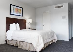 ein Schlafzimmer mit einem großen weißen Bett und einer Lampe in der Unterkunft GREELEY UNIVERSITY INN/ GREELEY INN in Greeley