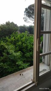 uma janela aberta com vista para um arbusto em LA MAISON DU BONHEUR em Velleron