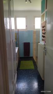 a bathroom with a green rug on the floor at LA MAISON DU BONHEUR in Velleron