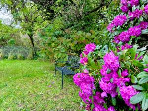 Romantic Retreat with Spa and Private Gardens外面的花园