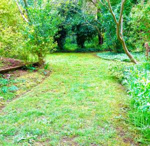 Romantic Retreat with Spa and Private Gardens外面的花园