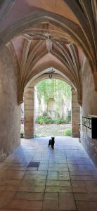 un gato negro parado en un arco en un edificio en Confort et charme dans le centre ancien * FIBRE * café draps serviettes inclus *, en Romans-sur-Isère