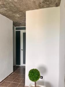 a room with a white wall and a potted plant at Portobelo in San Juan