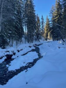 Megève - Chalet Yack - Premium jusqu'à 15 pers v zime