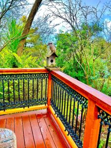 Romantic Retreat with Spa and Private Gardens的阳台或露台