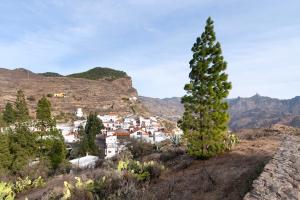 un arbre au sommet d'une colline avec une ville dans l'établissement La Cuevita de Hilario, à Artenara