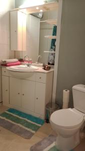 bagno con servizi igienici, lavandino e specchio di L'ombrelle a Carcassonne