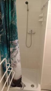 y baño con ducha y cortina de ducha. en L'ombrelle, en Carcassonne