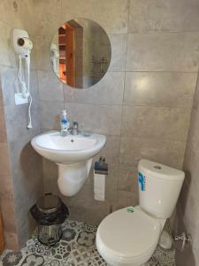 a bathroom with a toilet and a sink and a mirror at Sholedani in Ambrolauri