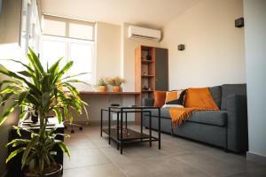 uma sala de estar com um sofá e uma planta em CENTRAL OLD TOWN- LADADIKA APARTMENT em Tessalónica