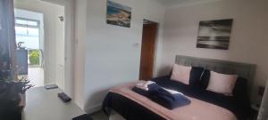 a bedroom with a bed with purple and pink pillows at KINGHORN - Private room, ensuite & sunroom with Fab views in Kinghorn