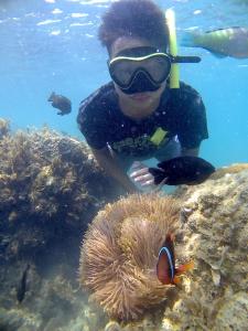 een persoon in het water die naar vis in de oceaan kijkt bij Kelong Bintan in Telukbakau