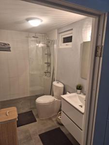 a bathroom with a toilet and a shower and a sink at Morning Star Aruba in Oranjestad