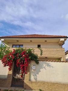 a house with red flowers hanging from a gate at Casa verde 2 in Pantelimon