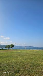 two trees in a field next to the ocean at Eva tatil evleri in Perşembe