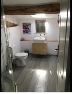 un baño con inodoro y lavabo en La Maison Tourouzelle, en Lauraguel