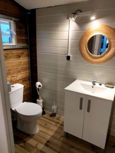 a bathroom with a toilet and a sink and a mirror at Chambre chez Jo in Saint-Paul