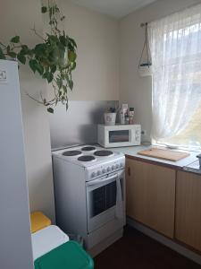 uma cozinha com um fogão branco e um micro-ondas em Hrafnabjörg 4 em Hrafnabjorg