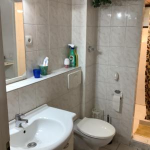 a bathroom with a white toilet and a sink at Schönes Doppelbettzimmer im Untergeschoss inkl Parkplatz nach Verfügbarkeit in Essen