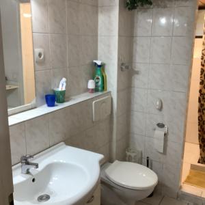 a bathroom with a white toilet and a sink at Schönes Doppelbettzimmer im Untergeschoss inkl Parkplatz nach Verfügbarkeit in Essen +9 photos