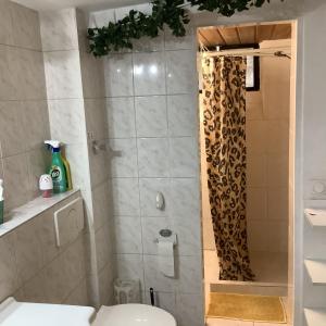 a bathroom with a shower with a toilet and a sink at Schönes Doppelbettzimmer im Untergeschoss inkl Parkplatz nach Verfügbarkeit in Essen