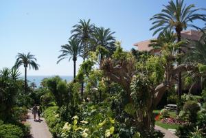 ベナルマデナにあるホテル ベスト シロコのヤシの木と海を背景にした庭園