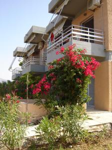 A balcony or terrace at Galini Studios and Apartments