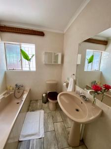 a bathroom with a sink and a toilet and a mirror at Berg Escape Kiepersol - Spacious Luxury Family Home in Winterton