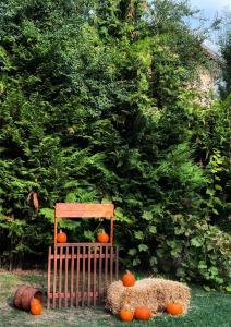 uma cadeira com abóboras na frente de uma árvore em Casa Bunicii Comarnic em Comarnic