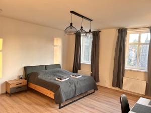 1 dormitorio con 1 cama y 2 lámparas en Gallery Apartments en Liberec