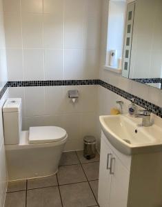 法爾茅斯的住宿－Twin Gates Annexe，浴室配有白色卫生间和盥洗盆。