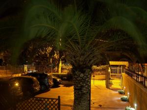 a palm tree in a parking lot at night at B&B Salvatore Lido di Noto in Noto Marina