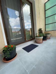 eine Veranda mit Topfpflanzen vor einer Tür in der Unterkunft Apartament 2 camere Mogoșoaia in Mogoşoaia