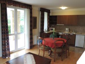 Kuchyňa alebo kuchynka v ubytovaní Luxus Golf Apartment