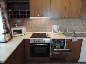Kuchyňa alebo kuchynka v ubytovaní Luxus Golf Apartment
