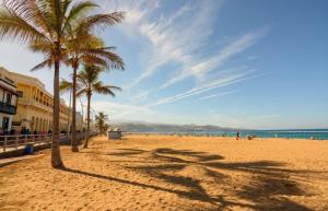 ラスパルマス・デ・グランカナリアにあるSunset Paradiseのヤシの木と海の砂浜