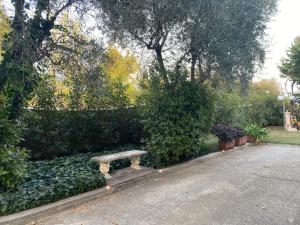 eine Bank inmitten eines Gartens in der Unterkunft Campagna Toscana - A casa di Vale in Pistoia