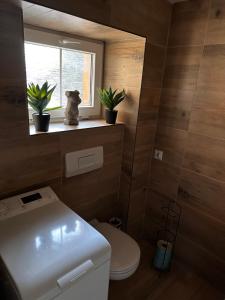 a bathroom with a toilet and a window and plants at Moderní byt v centru města in Liberec