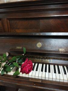 una rosa roja sentada sobre un piano en Casa Adam en Sighişoara