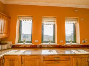 an empty kitchen with three windows with flowers in them at Ocean View in Adrigole