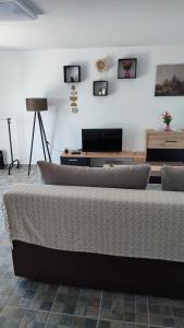 - un salon avec un canapé et une télévision dans l'établissement Apartmani Bogdanovic Studio 1, à Vrdnik