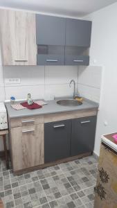 - une cuisine avec un évier et un comptoir dans l'établissement Apartmani Bogdanovic Studio 1, à Vrdnik
