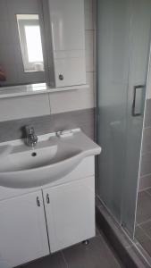 La salle de bains blanche est pourvue d'un lavabo et d'une douche. dans l'établissement Apartmani Bogdanovic Studio 1, à Vrdnik