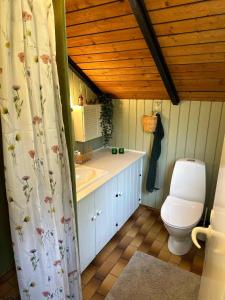 ein Badezimmer mit Toilette und Waschbecken in der Unterkunft Vacation House In Arrild Ferieby in Toftlund