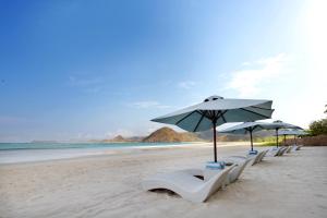 a row of chairs and umbrellas on a beach at Sempiak Seaside Resort in Selong Belanak +29 photos