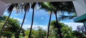 a group of palm trees with a blue sky in the background at noemi apartments samara beach A-2 in Sámara