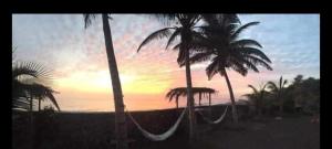 a hammock between two palm trees with a sunset at Tortuga B&B in São Filipe