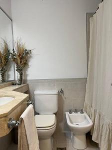 a bathroom with a toilet and a sink and a mirror at Departamento en Nueva Córdoba in Córdoba