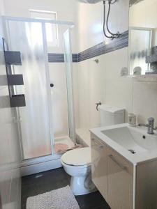a bathroom with a toilet and a shower and a sink at Villa Colonia Vir in Vir