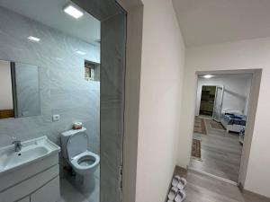 a bathroom with a toilet and a sink and a mirror at "Lime" Aparthotel in Bukhara